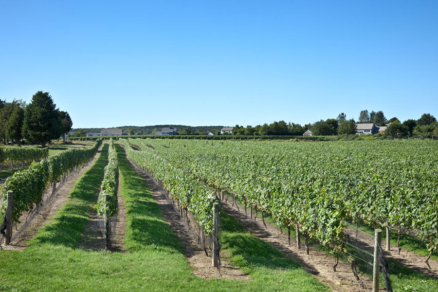 The Best of The North Fork - Wine Club